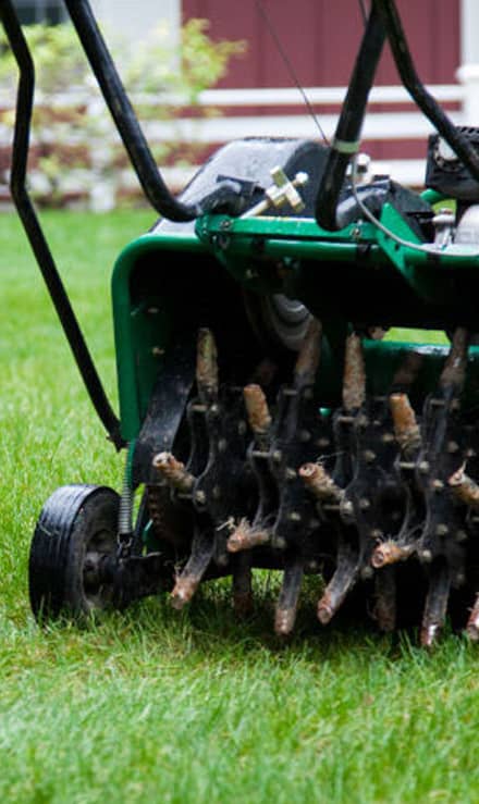 City Limits Landscaping & Snow Removal Aeration